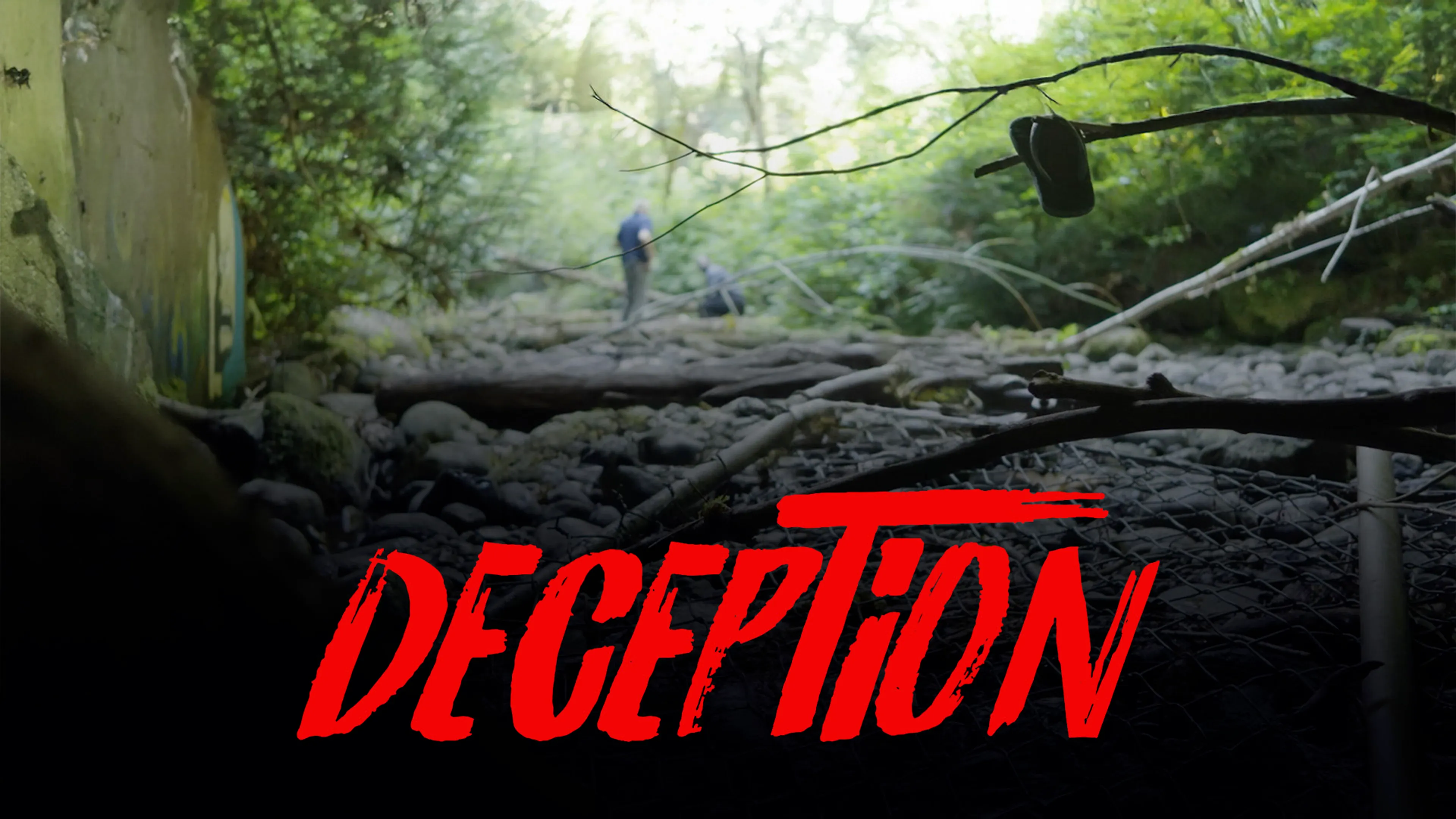 Deception poster